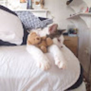 Meet your Posher, Misty